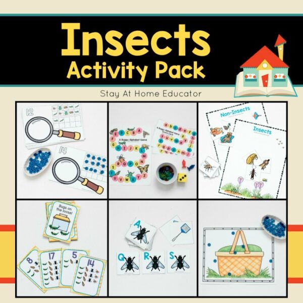 Insects Activity Pack