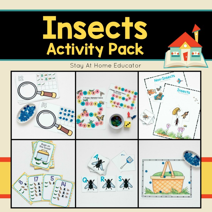 Insects activity pack for preschool