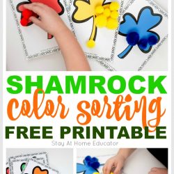 rainbow shamrock color sorting cards collage, text says shamrock color sorting free printable | St. Patricks Day preschool lesson plans | rainbow theme preschool lesson plans |