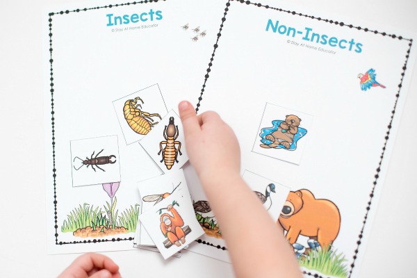 Printable centers to add to your preschool insect theme, here are six printable insect activities for preschoolers.