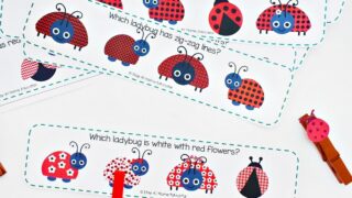 Make learning fun, and a little more adorable, with these free ladybug theme visual discrimination cards perfect for your preschoolers!