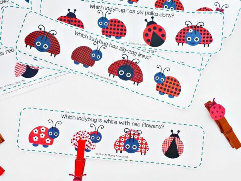 Make learning fun, and a little more adorable, with these free ladybug theme visual discrimination cards perfect for your preschoolers!