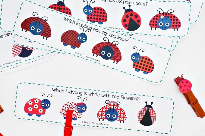 Make learning fun, and a little more adorable, with these free ladybug theme visual discrimination cards perfect for your preschoolers!