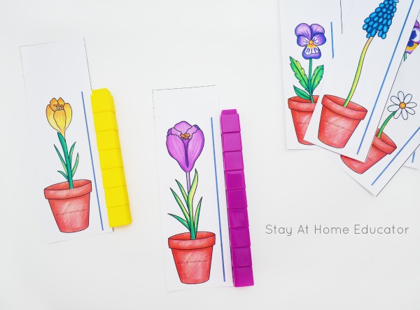 A hands on flower themed measurement printable for preschoolers. This is fantastic for math centers or small group work in the Spring for preschoolers. 