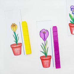 free flower height measuring cards for preschool