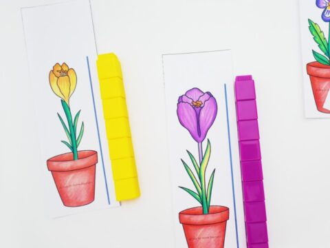 Image for FREE Flower Height Measurement Printable for Preschoolers