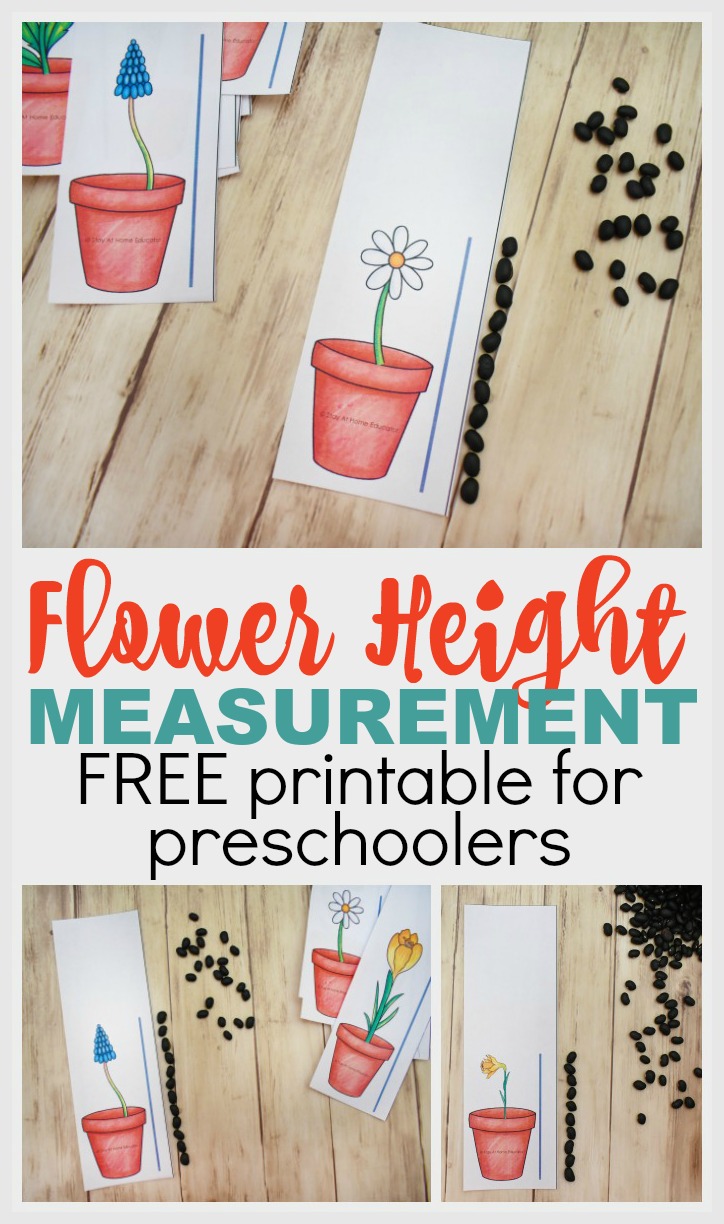 flower height spring theme measurement printable for preschoolers