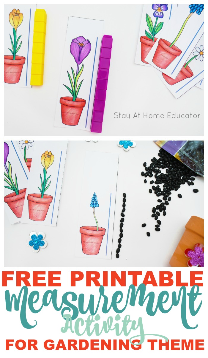 A hands on flower themed measurement printable for preschoolers. This is fantastic for math centers or small group work in the Spring for preschoolers. 
