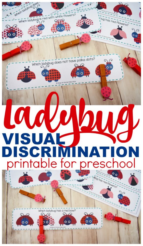 Ladybug visual discrimination printable for preschool