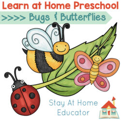 learn at home preschool lesson plans_bugs and butterflies