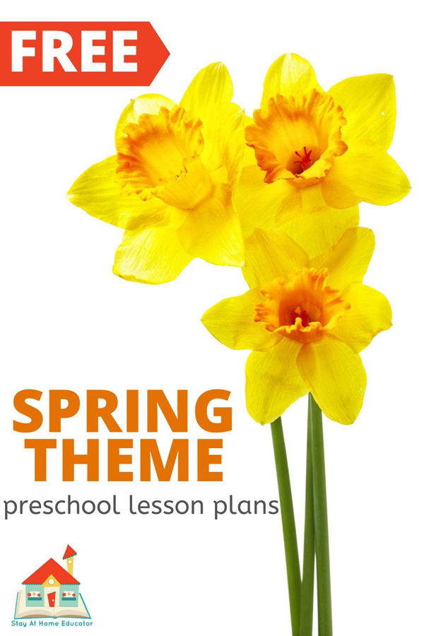 yellow flower with text free spring theme preschool lesson plans | preschool spring activities | spring themed preschool lessons |