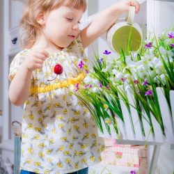 spring activities for preschool spring theme lesson plans