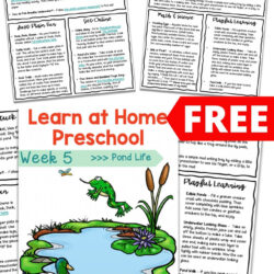 free lesson plans for preschoolers pond theme