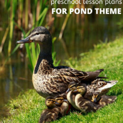 homeschool preschool lesson plans for pond theme
