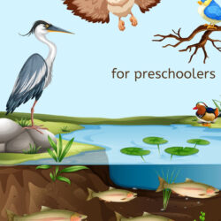 pond activities for preschoolers in weekly lesson plans template