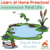Learn At Home Preschool Lesson Pond Theme