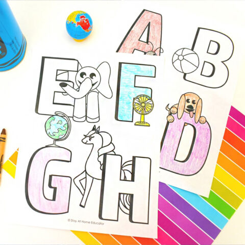 Image for 5 Alphabet Activities + Free Printable