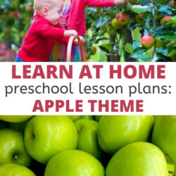learn at home preschool lesson plans apple theme