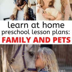 learn at home preschool lesson plans for family and pets