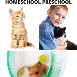 preschool pet theme activities for homeschool preschool