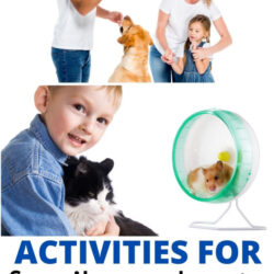activities for family and pets preschool theme