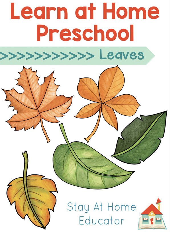 leaf activities for preschoolers | leaf preschool lesson plans | leaf theme | leaf activities for kindergarten | Learn At Home Preschool Lesson Plans