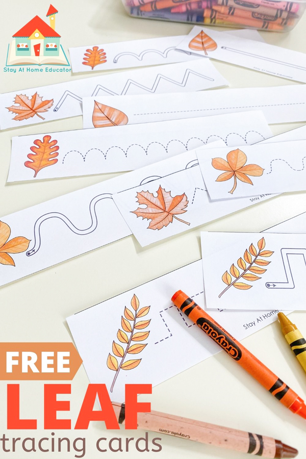 free leaf tracing worksheets