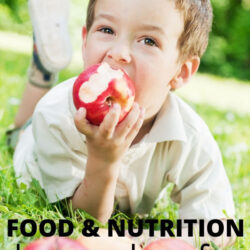 food and nutrition lesson plans for toddlers and preschoolers