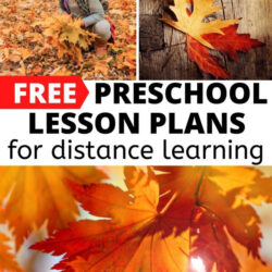 free preschool lesson plans for distance learning