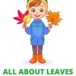 all about leaves lesson plans for a toddler fall theme