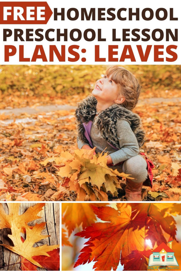 free lesson plans about leaves: homeschool preschool lesson plans