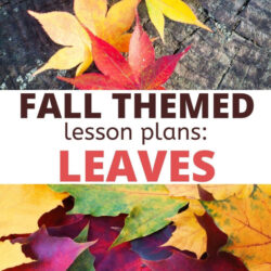 free fall themed lesson plans about leaves