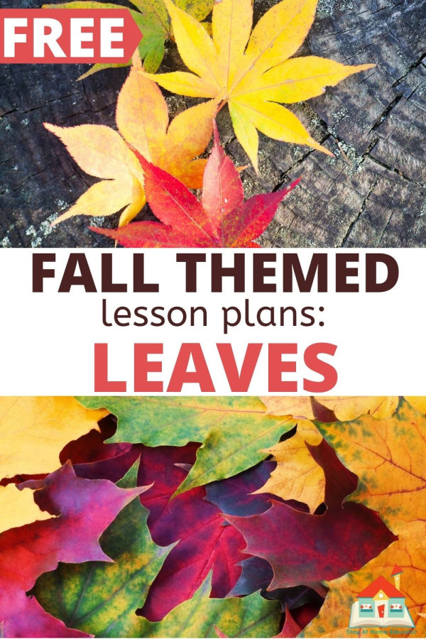 fall themed lesson plans for preschoolers: all about leaves