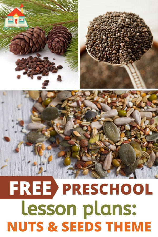 free printable preschool lesson plans for nuts and seeds theme