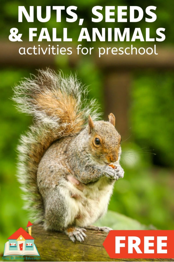 Free Nuts and Seeds Printable Lesson Plans for Preschool - Stay At Home  Educator