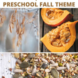 nuts and seeds lesson plans for preschool fall theme