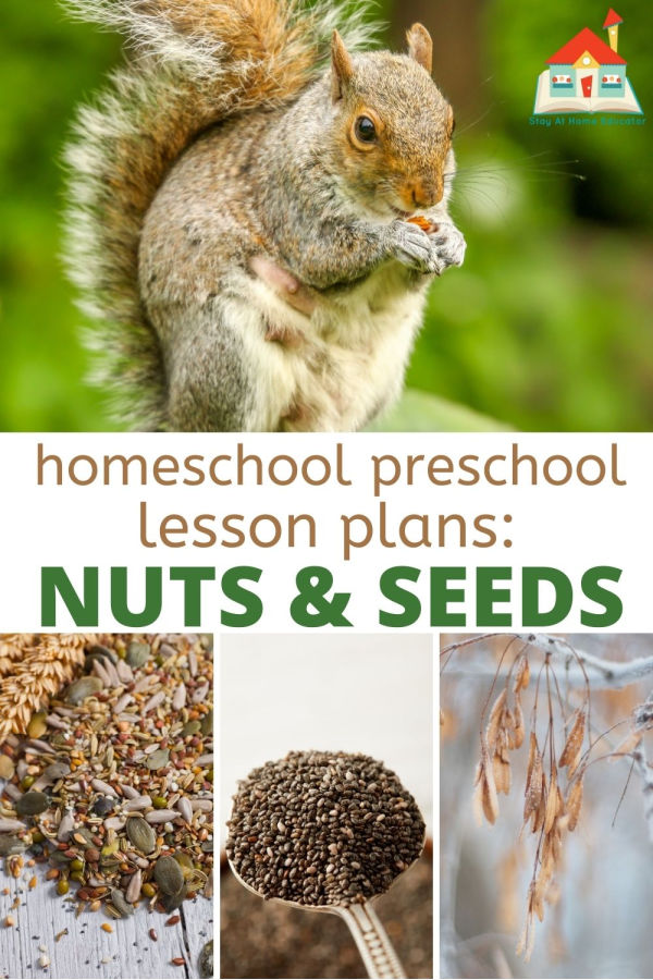 homeschool preschool lesson plans: nuts and seeds theme