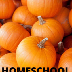 free homeschool preschool lesson plans for a pumpkin theme