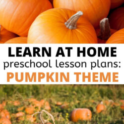 learn at home preschool lesson plans for a pumpkin theme