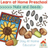 learn at home preschool lesson plans for nuts and seeds theme