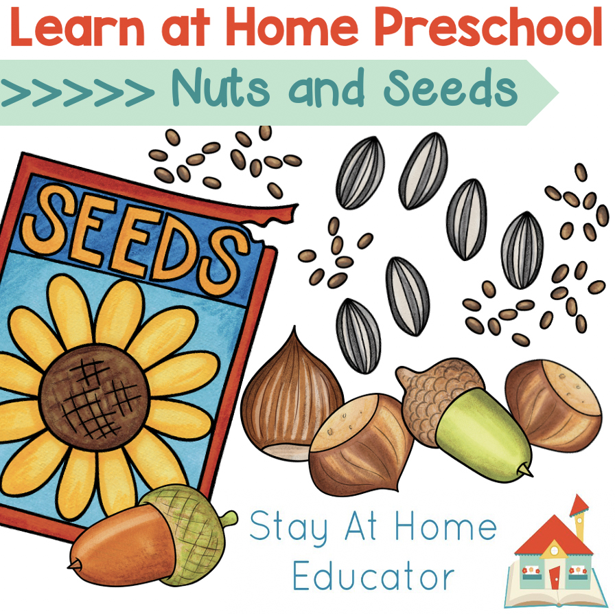 Thematic Preschool Activity Plans Bundle