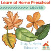 learn at home preschool leaves theme