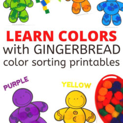 learn colors with gingerbread color sorting printables