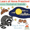 learn at home preschool nocturnal animals theme