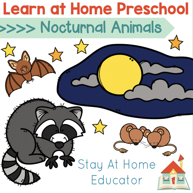 Free Nocturnal Animals Lesson Plans for Preschool -