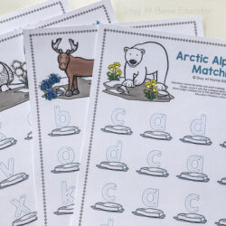 arctic letter tracing mats