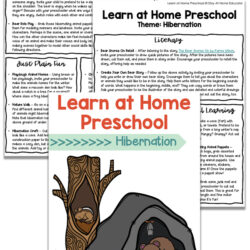 learn at home preschool hibernation theme