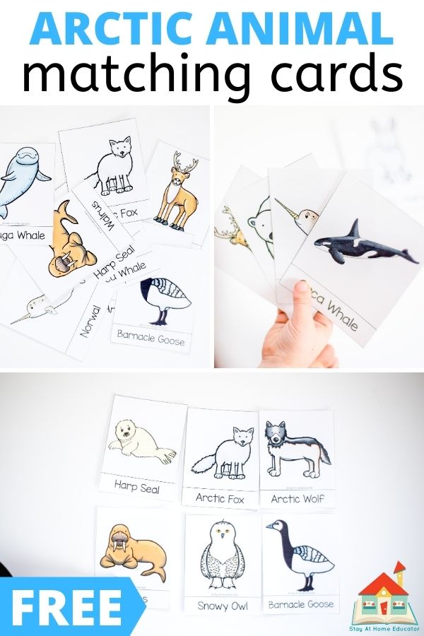 free arctic animal matching cards