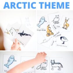 free matching cards for arctic theme