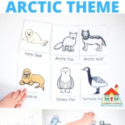 free printable matching game for arctic theme